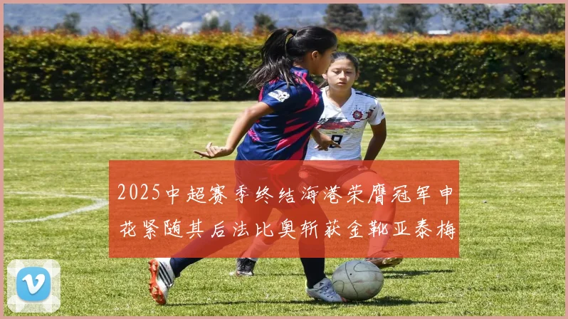 2025中超赛季终结海港荣膺冠军申花紧随其后法比奥斩获金靴亚泰梅州遗憾降级