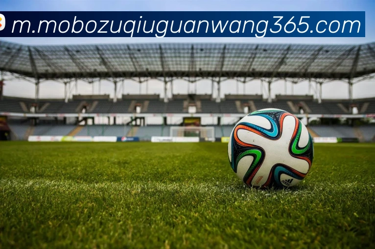 摩博体育平台生态图