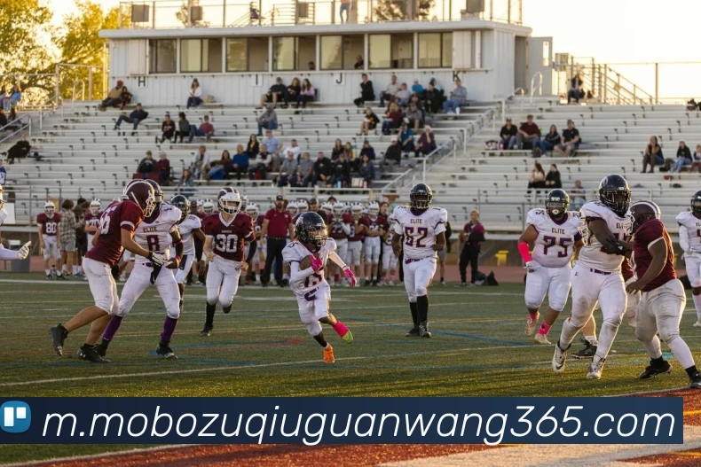 摩博体育全站App